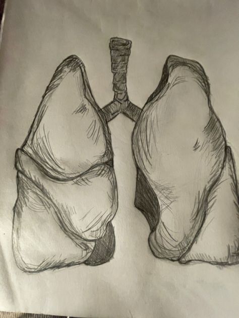 Chest Cavity Drawing, Lungs Sketch Drawing, Drawing Of Lungs, Sketches With Meaning, Drawing Lungs, Organ Drawings, Lungs Sketch, Medical Sketches, Lung Drawing