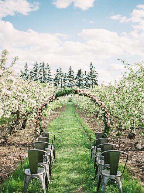 Starry Night Wedding Theme, Apple Orchard Wedding, Folk Wedding, Starry Night Wedding, Barcelona Wedding, Orchard Wedding, Wedding Arches, Apple Blossoms, Dream Wedding Venues