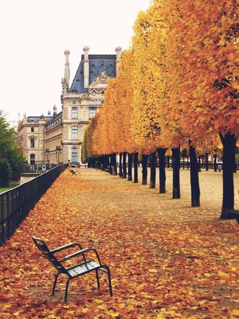 Autumn in #Paris, France Paris In Autumn, Studera Motivation, Friday Vibes, Jardin Des Tuileries, I Love Paris, Paris Photo, Lombok, A Park, Favorite City