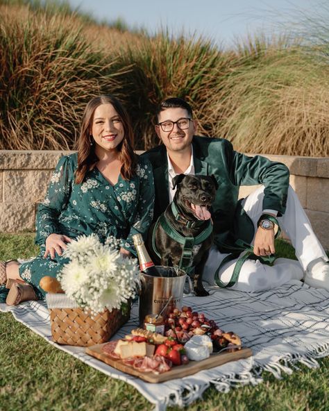 Dog Picnic Photoshoot, Couples Picnic Photoshoot, Dog Picnic, Couples Picnic, Dog Parties, Photoshoot With Dog, Picnic Photo Shoot, Photo Op Ideas, Picnic Photography