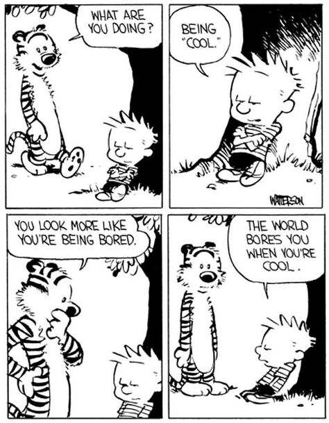 Calvin says it all!! Calvin And Hobbes Humor, Calvin Und Hobbes, Calvin And Hobbes Quotes, Calvin And Hobbes Comics, Funny Comic Strips, Celebrities Humor, Calvin And Hobbes, Fun Comics, Funny Cartoons