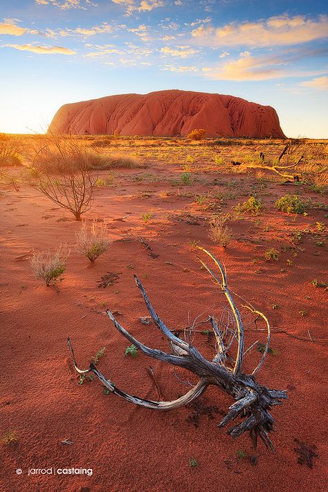 Uluru - Northern Territory - Australia Ayers Rock Australia, Australian Colours, Australia Landscape, Landscaping With Large Rocks Natural, Ayers Rock, Outback Australia, Australian Travel, Fine Art Landscape Photography, Landscaping With Large Rocks