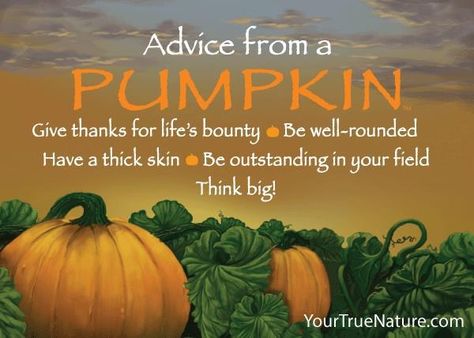 Weather Quotes, Thanksgiving Card, Thick Skin, Thanksgiving Quotes, Autumn Quotes, Celebrate Life, Think Big, Advice Quotes, Fall Decorating