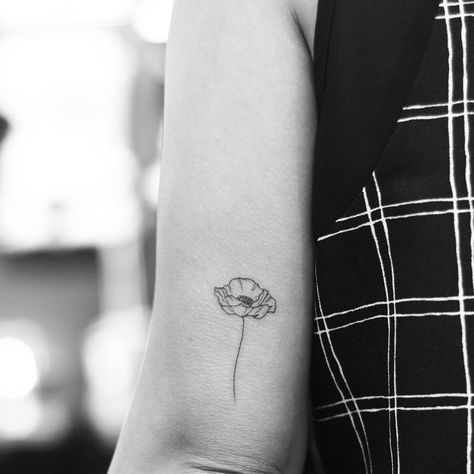 Flower Tattoos Back Of Arm, Flower Tattoos Back, Tattoos Back Of Arm, Tattoos Back, Poppy Flower Tattoo, Poppy Tattoo, Flower Tattoo Back, Poppies Tattoo, Dainty Tattoos