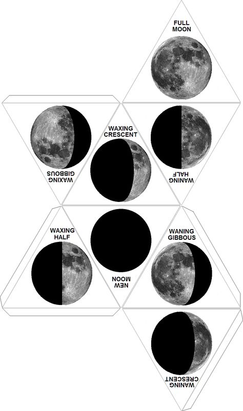 Paper Dice, Jesus Disciples, Moon Ramadan, Sixth Grade Science, Dice Template, Moon Activities, Moon Projects, Islamic Calendar, Crescent Moon And Star