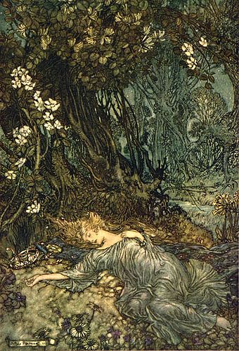 Arthur Rackham, Midsummer Night's Dream, Titania Sleeping, 1908 by Gatochy, via Flickr Tomer Hanuka, Phone Pic, Theme Iphone, Iphone Pics, Otto Schmidt, Edmund Dulac, Iphone Theme, 동화 삽화, 5 Wallpaper