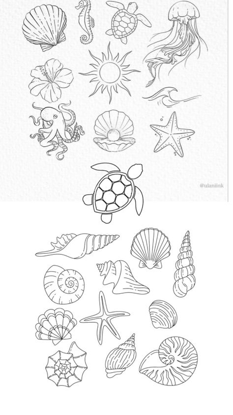 Water Symbol Tattoo, Small Shell Tattoo, Water Symbol, Seahorse Tattoo, Seashell Tattoos, Shell Tattoos, Jellyfish Tattoo, Ocean Tattoos, Small Pretty Tattoos