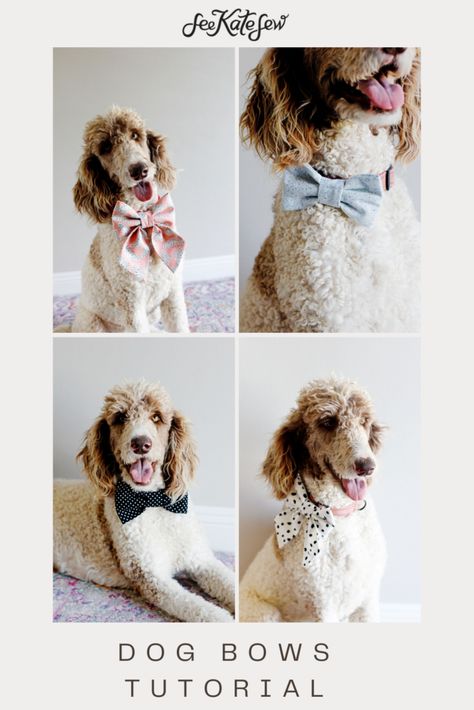 Sewing Patterns Dog Bandana, Dog Bow Tie Sewing Pattern, Sew Dog Bow Tie, Dog Bow Sewing Pattern, Sewing Pattern Dog Bandana, Patterns For Dog Clothes Free, Dog Bandana Template Free Pattern, Over Collar Dog Bandana Pattern, Dog Bow Pattern Free