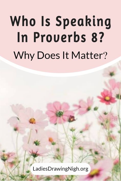 Are you intrigued by the 'speaker' in Proverbs 8? In this post, we delve deep into Proverbs 8 to answer the questions - Who is speaking? And what does it mean for us today? Join us as we explore this fascinating text from the Bible, and uncover the timeless wisdom it holds. Bible Proverbs, Proverbs 8, Bible Studies For Beginners, Biblical Wisdom, Bible Study Printables, Study Notebook, Proverbs 4, Bible Study Plans, Bible Study Notebook