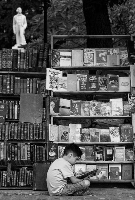 Black And White People, Sun Shadow, Children Reading, Book Shops, Library Art, People Reading, Unique Book, World Of Books, Avid Reader