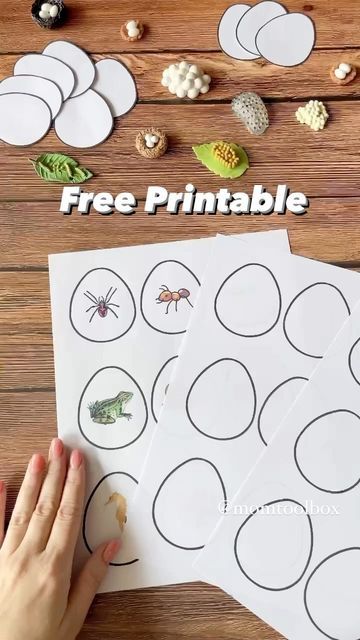 Egg Art Projects, Homeschooling Elementary, Oviparous Animals, Egg Coloring Page, Bug Activities, Animal Activities For Kids, Card Stock Paper, Homeschool Elementary, Diy Toddler