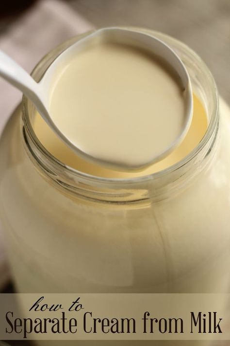 Learn how to easily separate cream from fresh milk, no fancy machines required! Cream From Milk, Desserts Cheesecake, The Prairie Homestead, Homemaking Skills, Goat Milk Recipes, Prairie Homestead, Cheese Dips, Bacon Dip, Crab Dip