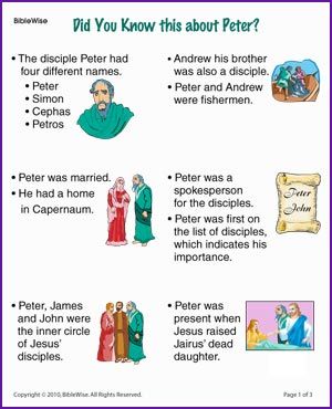 Did You Know the Disciple Peter (Story) - Kids Korner - BibleWise Peter The Disciple Activities, Facts About The 12 Disciples, Peter The Disciple, Peter The Apostle, Twelve Disciples, 12 Disciples, Bible Worksheets, Story Kids, Bible Quiz