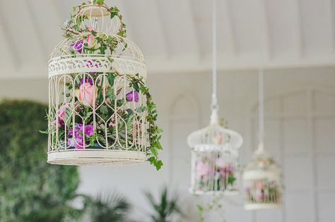 This-Modern-Love-{Amelia-and-Thomas}-Floral-Displays Crom Castle, Wedding In Ireland, Cage Decor, Castle Ireland, Events Business, Bird Cage Decor, Miles Apart, Birdcages, Tie The Knot