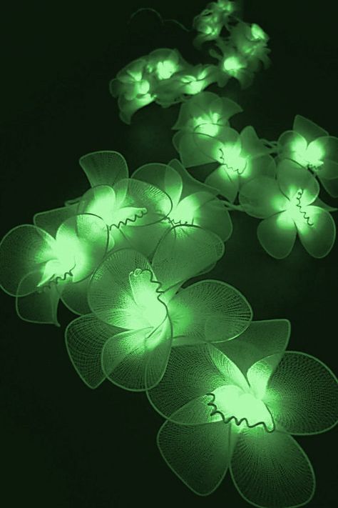 Poison Aesthetic Green, Emerald Green And Gold Aesthetic, Green Aethstetic, Bright Green Aesthetic, Green Neon Aesthetic, Jade Green Wallpaper, Lime Green Aesthetic, Dark Green Plants, Emerald Aesthetic