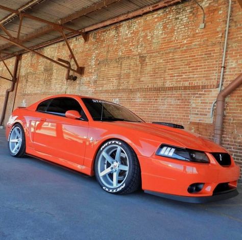 Bad-ass Ford Mustang 2002 Mustang Gt, 2000 Mustang Gt, 2001 Mustang, 2002 Ford Mustang Gt, 04 Mustang, Cobra Mustang, Sn95 Mustang, New Edge Mustang, Saleen Mustang