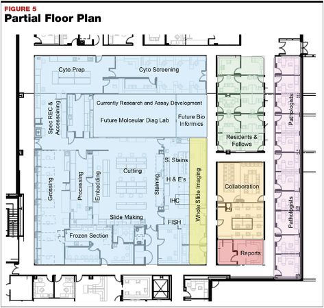 Laboratory Floor Plan, Lab Floor Plan, Microbiology Lab, Innovation Hub, Laboratory Design, Medical University, Microbiology, Site Plan, Design Planning