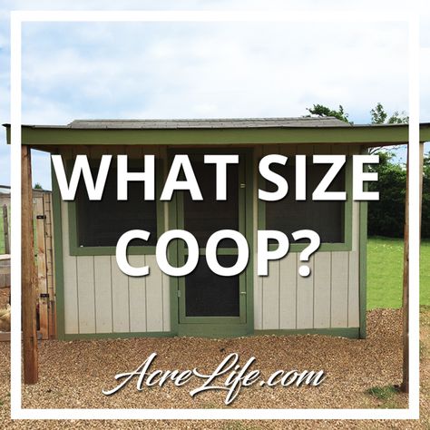 What Size Chicken Coop Do I Need? Easy to Follow Checklist - Acre Life Diy Chicken Coop 6 Chickens, Chicken Coop Plans For 40 Chickens, Chicken Coop Plans With Storage, Chicken Coop For 6 Hens Diy, Shed Style Chicken Coop, Free Diy Chicken Coop Plans Easy, Simple Walk In Chicken Coop, 50 Chicken Coop, Chicken Coop For 100 Chickens