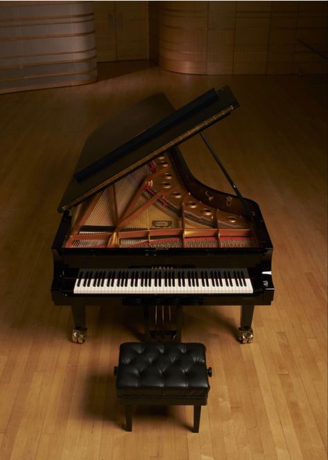 Bosendorfer Piano, Grand Piano Room, Yamaha Grand Piano, Piano Crafts, Steinway Grand Piano, Piano Photography, Piano Photo, Yamaha Piano, Steinway Piano