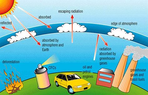 Allows students to read about air pollution and its significance for humans and other living things. -RN What Is A Conservatory, Pencemaran Udara, Ozone Depletion, The Sky Is Falling, Ozone Layer, Greenhouse Effect, Environmental Pollution, Environmental Issues, Science Fair