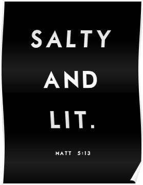 Salty and Lit Poster Matthew 5 13, Sith Lords, Travel Baby Shower Theme, Travel Baby Showers, Different Kinds Of Art, Salt Of The Earth, Happiness Project, Get It Girl, Encouraging Quotes