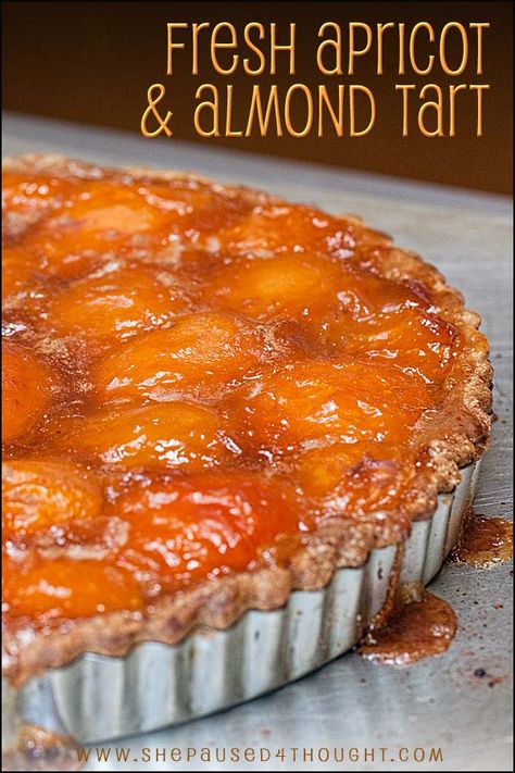 Fresh Apricot Almond Tart Pastries Bakery, Tart Desserts, Apricot Dessert, Fresh Apricots, Easy Tart Recipes, Apricot Tart, Food Deserts, Almond Tart, Apricot Recipes