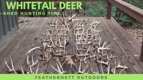 This is a great post that will help you find 2-3x the amount of sheds! Shed Hunting, Shed Roof Design, Garden Shed Kits, Storage Building Plans, Interesting Crafts, Building A Storage Shed, Shed House Plans, Diy Storage Shed, Barn Storage