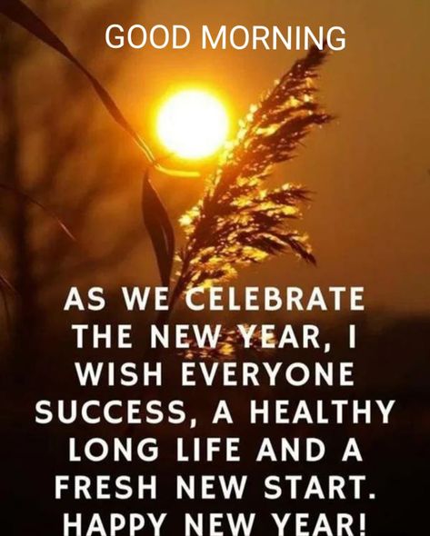 Happy New Year Status, New Year Motivational Quotes, New Year Status, New Year Wishes Messages, Happy Birthday Flowers Wishes, New Year Wishes Quotes, New Year Post, 2024 Quotes, God Pics