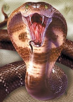 King Cobra Snake, Snake Painting, Snake Photos, Cobra Tattoo, Deadly Animals, Regnul Animal, Pretty Snakes, Snake Wallpaper, Poster Animal