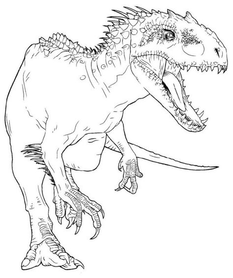 Dinosaur Coloring Sheets, Indominus Rex, Dinosaur Drawing, Pumpkin Coloring Pages, Unique Coloring Pages, Spring Coloring Pages, Jurassic World Dinosaurs, Mermaid Coloring Pages, Dog Coloring Page