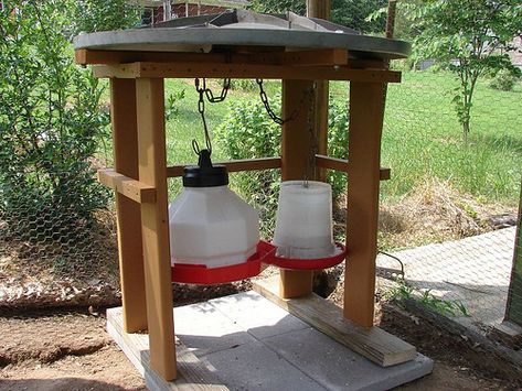 Chicken feeding stations | Chicken Feed and Water station Chicken Feed Recipe, Farming Aesthetic, Old Porch, Cute Chicken Coops, Chicken Feeders, Urban Chickens, Water Station, Raising Backyard Chickens, Chicken Coop Designs