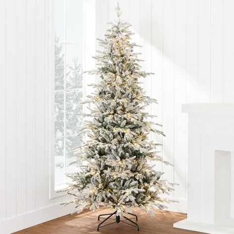 Aspen Christmas Tree, Aspen Christmas, Noble Fir Christmas Tree, Fir Christmas Tree, Pencil Christmas Tree, Flocked Christmas Trees, Christmas Tree Shop, Seasonal Celebration, Tree Lighting