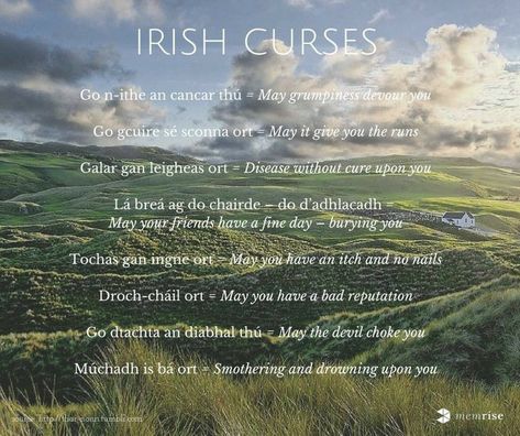 Gaeilge Quotes, Irish Gaelic Words, Gaelic Sayings, Irish Curse, Irish Gaelic Language, Irish Sayings, Irish Things, Gaelic Words, Irish Words