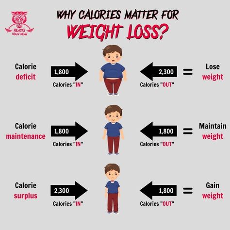 Why do calories matter for weight loss Caloric Surplus, Calorie Surplus, Muscle Belly, High Testosterone, Nutrition Articles, Protein Synthesis, Muscle Gain, Testosterone Levels, Muscle Tissue