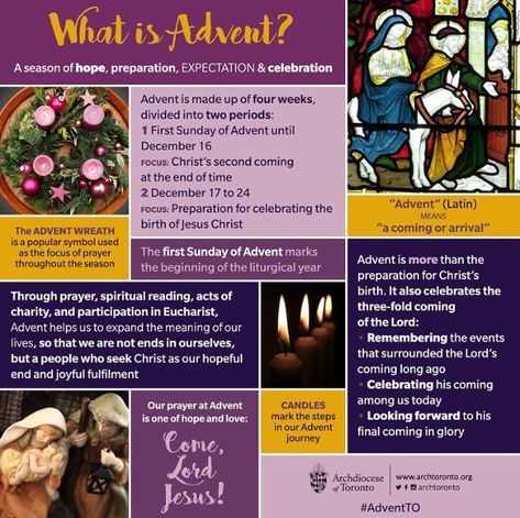 What is advent What Is Advent, Advent Catholic, Christmas Infographic, Advent Prayers, Origin Of Christmas, First Sunday Of Advent, Christmas Advent Wreath, Advent Activities, Birth Of Jesus Christ