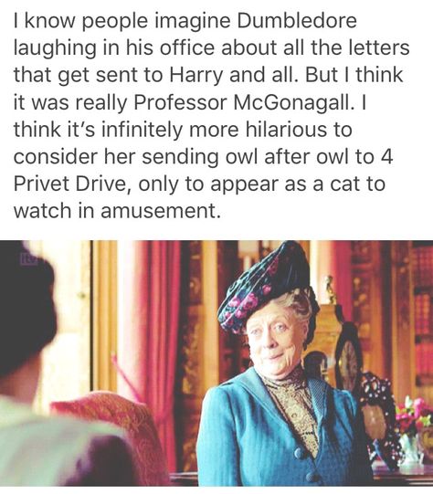 Minerva Mcgonagall And Poppy Pomfrey, Harry Potter Minerva Mcgonagall, Poppy Pomfrey, Pride Drawings, Minerva Mcgonagall, Sleeping Dragon, Maggie Smith, Nerd Humor, Harry Potter Jokes