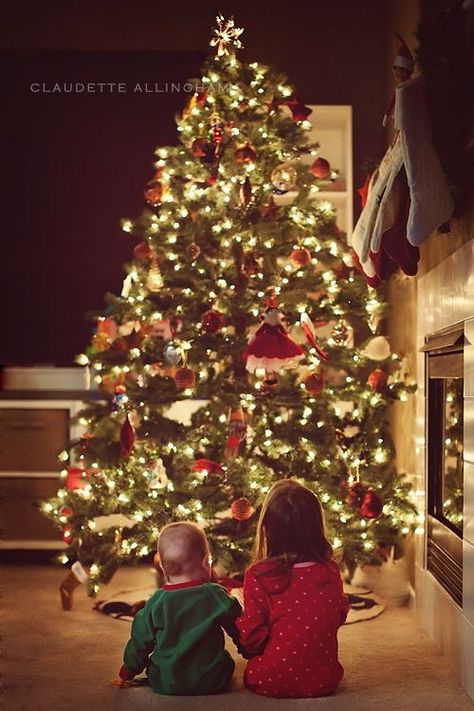 Christmas Humor Ecards, Baby Christmas Photos, Xmas Pictures, Xmas Photos, Family Christmas Pictures, Christmas Shoot, Christmas Decorations Living Room, Foto Baby, Christmas Photography