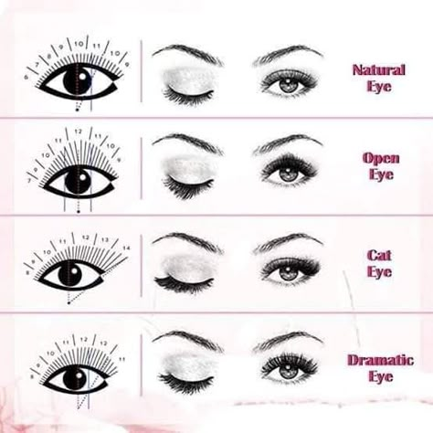 Www Logo, Eye Shape Chart, Lash Extentions, Lashes Fake Eyelashes, Eyelash Tips, Eyelash Technician, Eyelash Logo, Eyelash Extensions Styles, Perfect Eyelashes