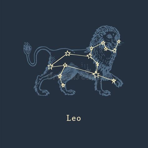 Astrology Leo Aesthetic, Leo Constellation Aesthetic, Leo Illustration Zodiac, Constellation Design Graphics, Leo Constellation Drawing, Leo Star Sign Aesthetic, Leo Zodiac Illustration, Leo Zodiac Aesthetic Art, Leo Zodiac Art Drawing