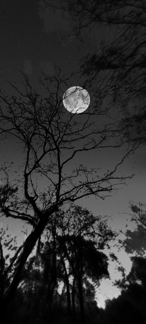 Moon Lover, Cross Wallpaper, Scary Dogs, Gothic Wallpaper, Dark Love, Cool Backgrounds Wallpapers, Dark Nature Aesthetic, Moon Photography, Backgrounds Wallpapers