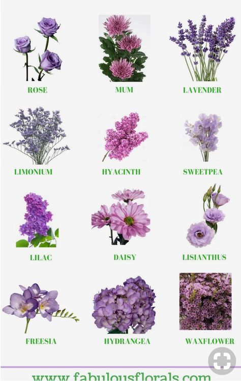 I like rose, lavender, sweetpea, daisy, lisianthus, hydrangea, and waxflower for the bouquet for centerpieces Lavender Wedding Theme, Lavender Wedding Flowers, Purple Wedding Theme, Rose Lavender, Different Types Of Flowers, Hydrangea Bouquet, Bridal Bouquet Flowers, Lilac Wedding, Purple Wedding Flowers