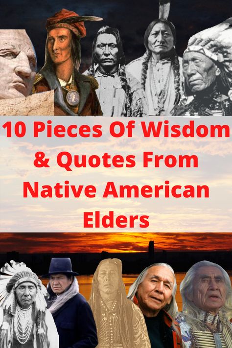 Are you looking for guidance and not sure where to go? then you have come to the right place! Here are 10 Pieces Of Wisdom  Quotes From Native American Elders.  Our people were truly connected and in tune with the earth. The wisdom of our ancestors was truly remarkable and has had people from all over the world coming to our culture to find answers to help with a multitude of problems. #NativeAmerican #PowwowTimes #FirstNations #Indigenous #Wisdom #Quotes Northeast Native Americans, Indigineous Peoples Day, Indigenous Peoples Day Quotes, Native American Quotes Wisdom, Indigenous Pride, Indigenous Wisdom, Native American Prophecies, Native History, Native American Beliefs