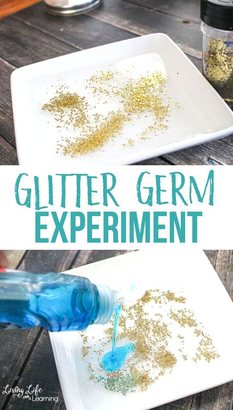 Show your kids how using soap works to get rid of germs in this glitter germ science experiment. You can also use it to show how thorough they need to be while washing their hands. Germs are everywhere, show your kids how important soap is to get rid of them with this hands-on germ activity. #homeschoolscience #germs #LivingLifenandLearning Sneezing Activities For Preschool, Hand Washing Experiment, Germ Lesson For Kindergarten, Fair Lesson Plans Preschool, Germs Experiment Preschool, Germ Science Experiment For Kids, Preschool Hygiene Crafts, Germ Activities For Kindergarten, Germ Project For Preschool