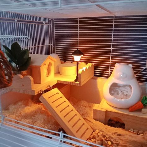 Hamster Cage In Bedroom, Hamster Cage Aesthetic, Hamster Cage Ideas Aesthetic, Kandang Hamster, Hamster Diy Cage, Hamster Ideas, Hedgehog Cage, Small Hamster, Diy Guinea Pig Cage