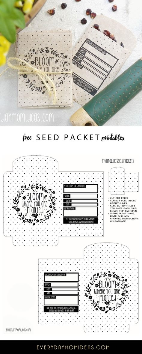 Printable Seed Packets, Diy Seed Packets, Seed Packet Template, Free Teacher Appreciation Printables, Garden Seeds Packets, Seed Envelopes, Vintage Seed Packets, Garden Planner, Bloom Where You Are Planted