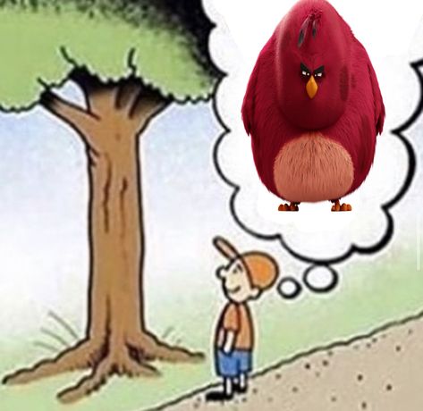 Cursed Bird Memes, Funny Chicken Memes Humor, Rooster Funny Meme, Bird Memes Hilarious, Big Bird, Funny