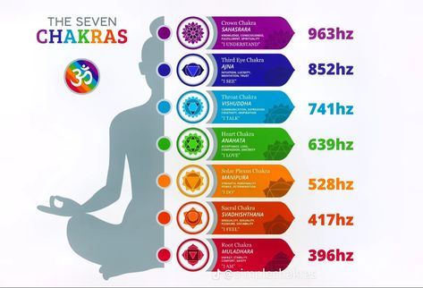 Frequencies Chart, Chakra Raiz, The Seven Chakras, Solfeggio Frequencies, Color Palette Challenge, Chakra System, Vagus Nerve, Healing Frequencies, Chakra Yoga