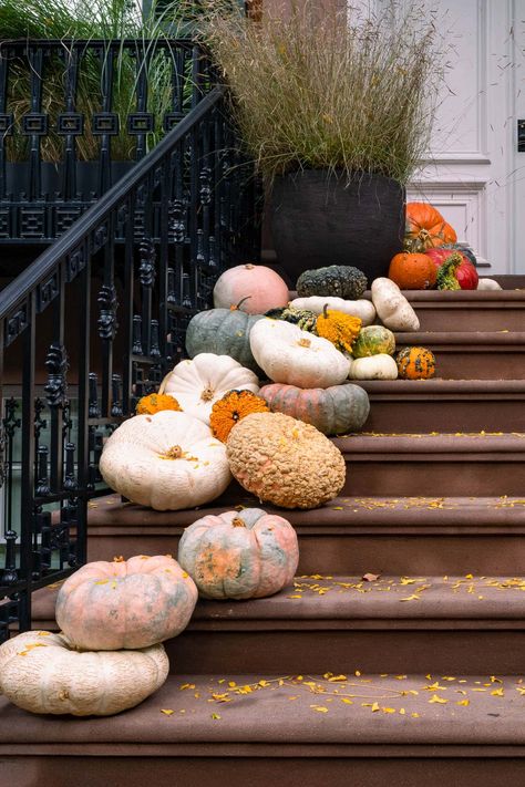 Fall Pots Outdoor Planters, Fall Planter Ideas, Mums And Pumpkins, Front Porch Stairs, Fall Pots, Potted Mums, Planter Arrangements, Mums In Pumpkins, Front Porch Flowers