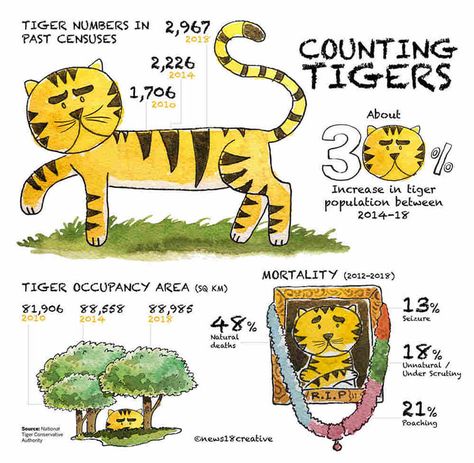 Conservative Quotes, Project Tiger, Tiger Quotes, Tiger Roar, Tiger Day, Tiger Conservation, Angry Quote, Angry Tiger, Tiger Roaring