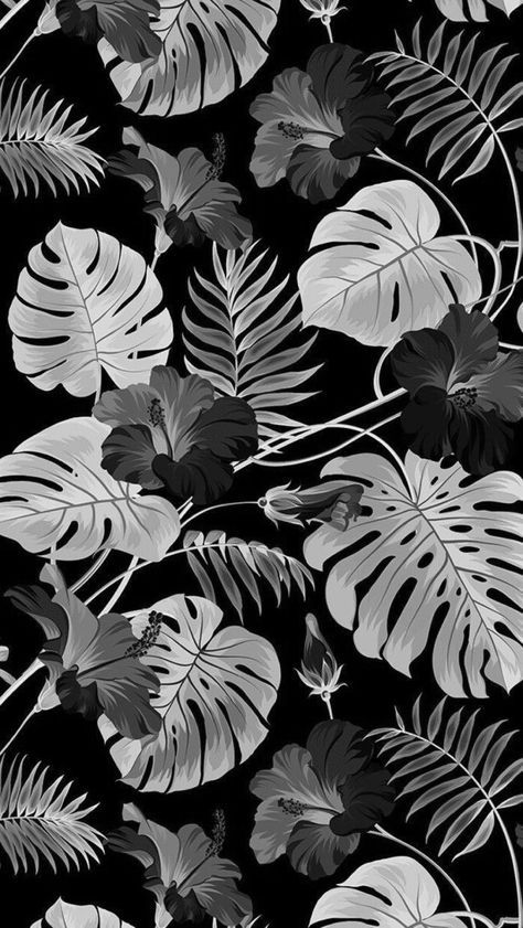 Black Tropical Wallpaper, Leaves Black And White, Wallpaper Photo Gallery, Wallpaper Photo, Leaf Texture, Tropical Wallpaper, Backdrop Design, Junk Journaling, Tropical Leaves